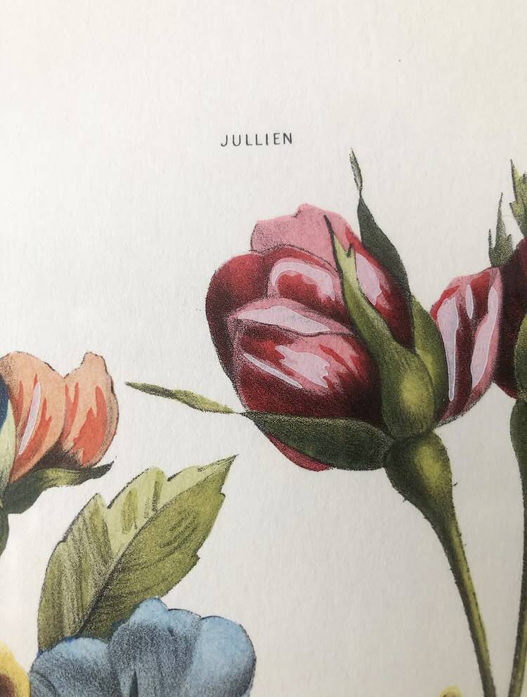 Vintage flower frame Jullien