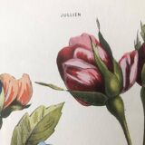 Vintage flower frame Jullien