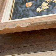Cadre bois fleurs séchées sous verre fond noir vintage