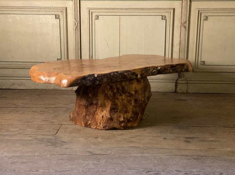 Salon table in racine vernie