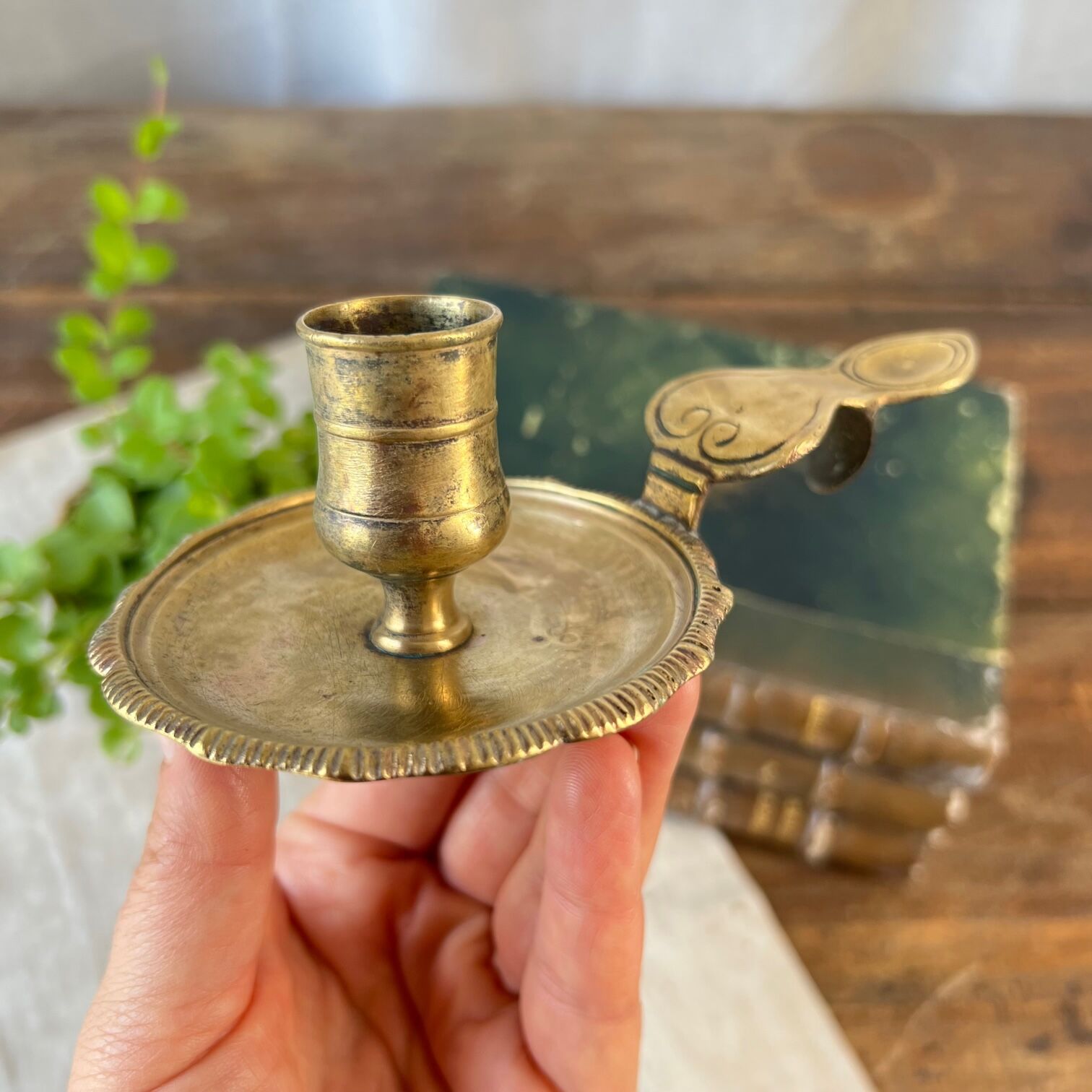 Brass cellar rat candle holder