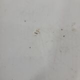 Round earthenware dish from Gien XIXth Horn of Abundance