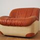 Set de 2 fauteuils cygne, 1970s