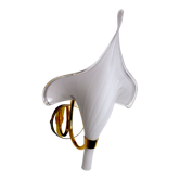 Applique fleur de lys blanche, verre de murano, Italie, 1970