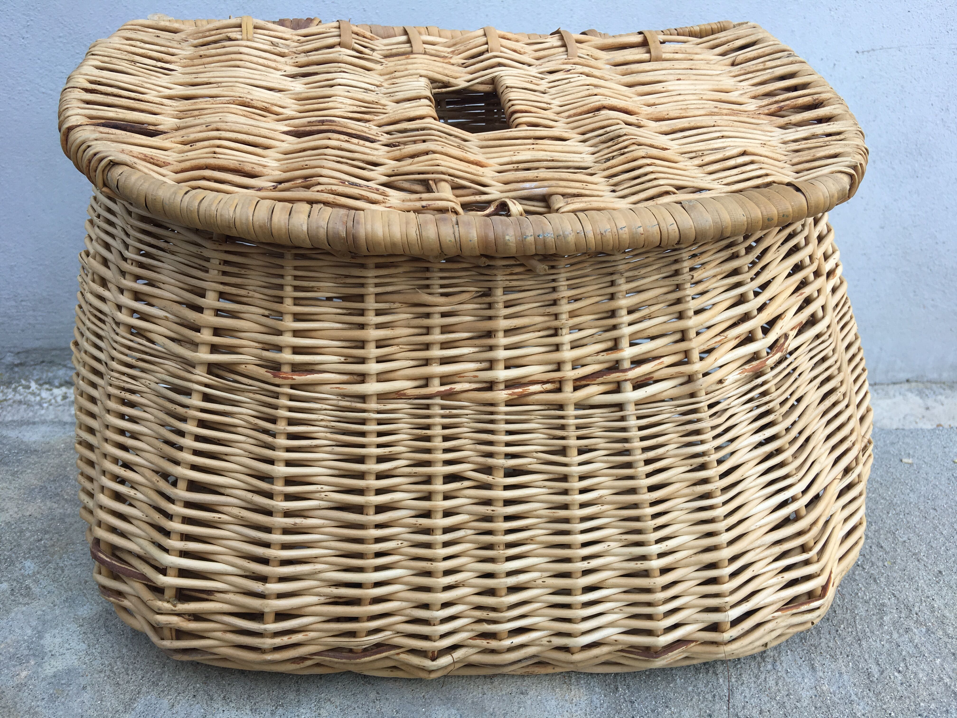 Former rattan fishing basket