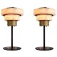 Pair of table lamps in patinated brass and alabaster.