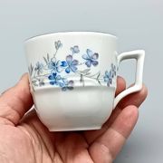 White porcelain coffee service Bareuther Waldassen Bavaria Germany