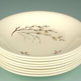 8 deep plates Salins model Champagnole