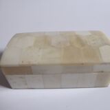 Rectangular box in white horn and wood