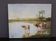 Oil on canvas depicting cows at the edge of the pond circa 1900