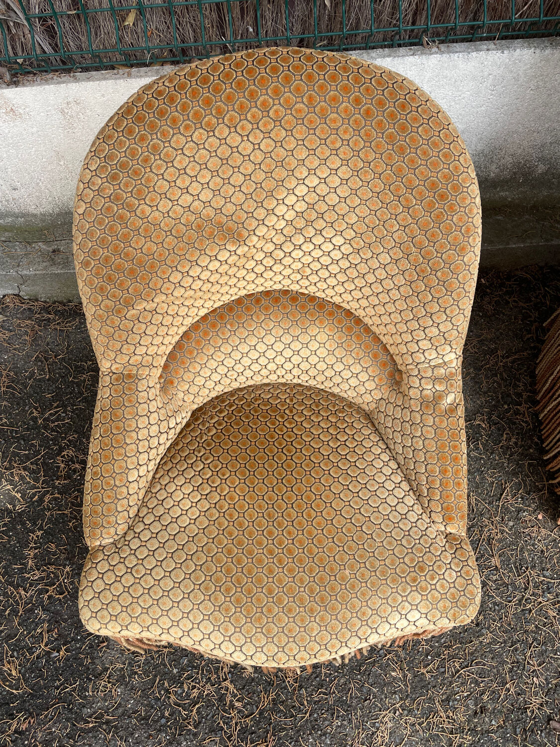 Piary of vintage toad armchairs