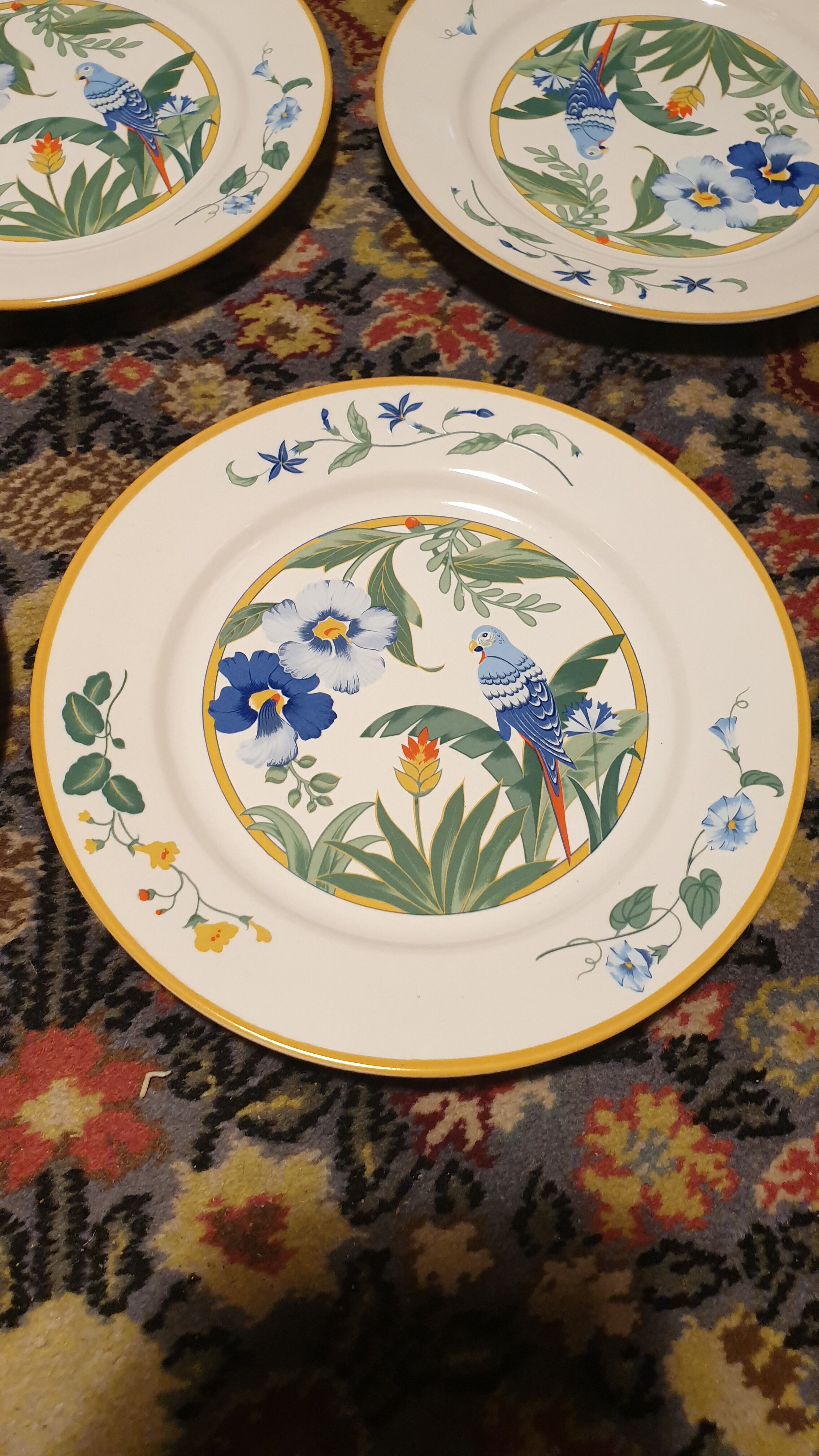 11 assiettes piert import