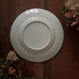 Set of 12 Longwy flat plates, Chrysanthemums model