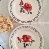 6 Digoin old flat plates