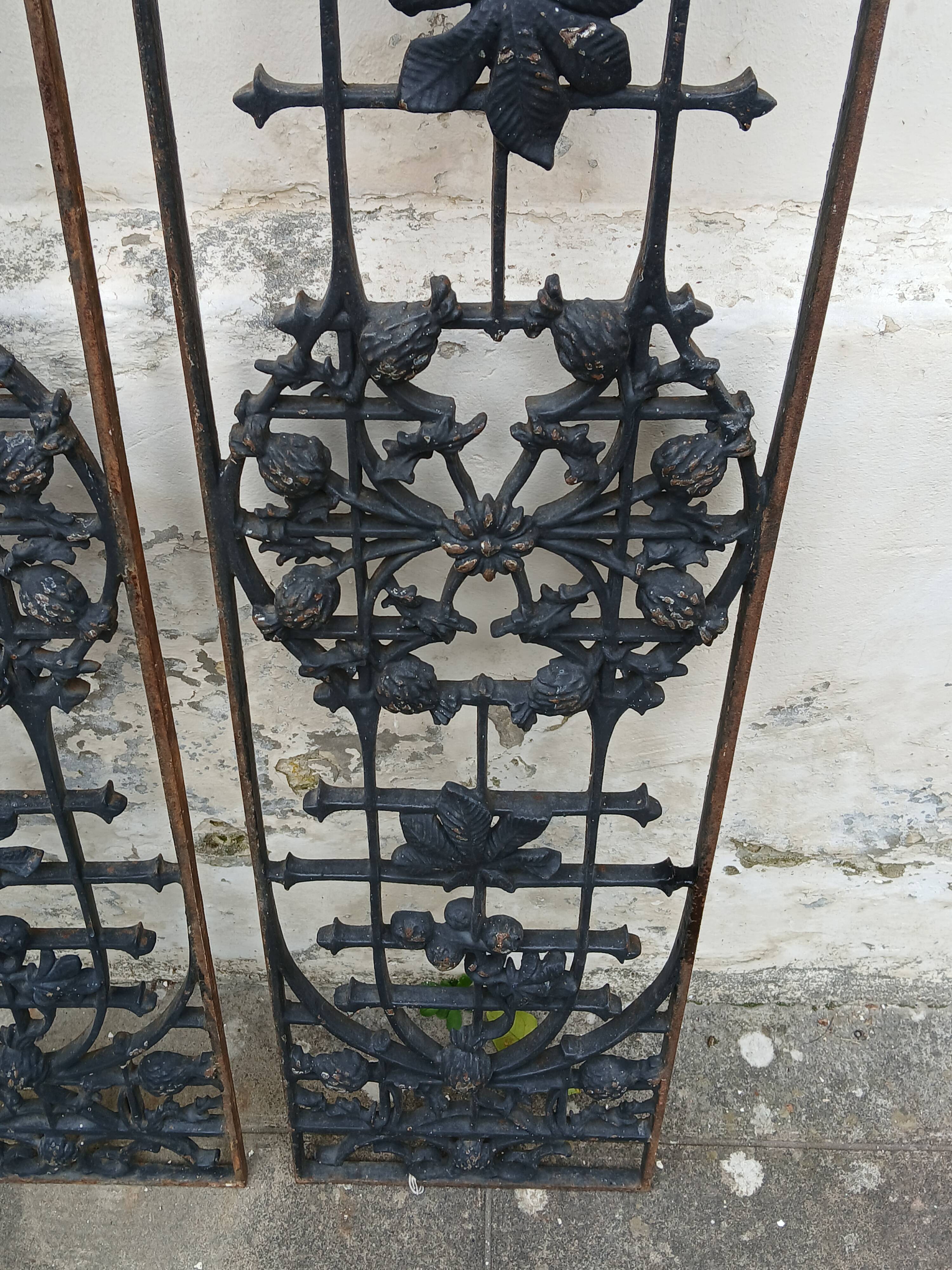Old door grilles