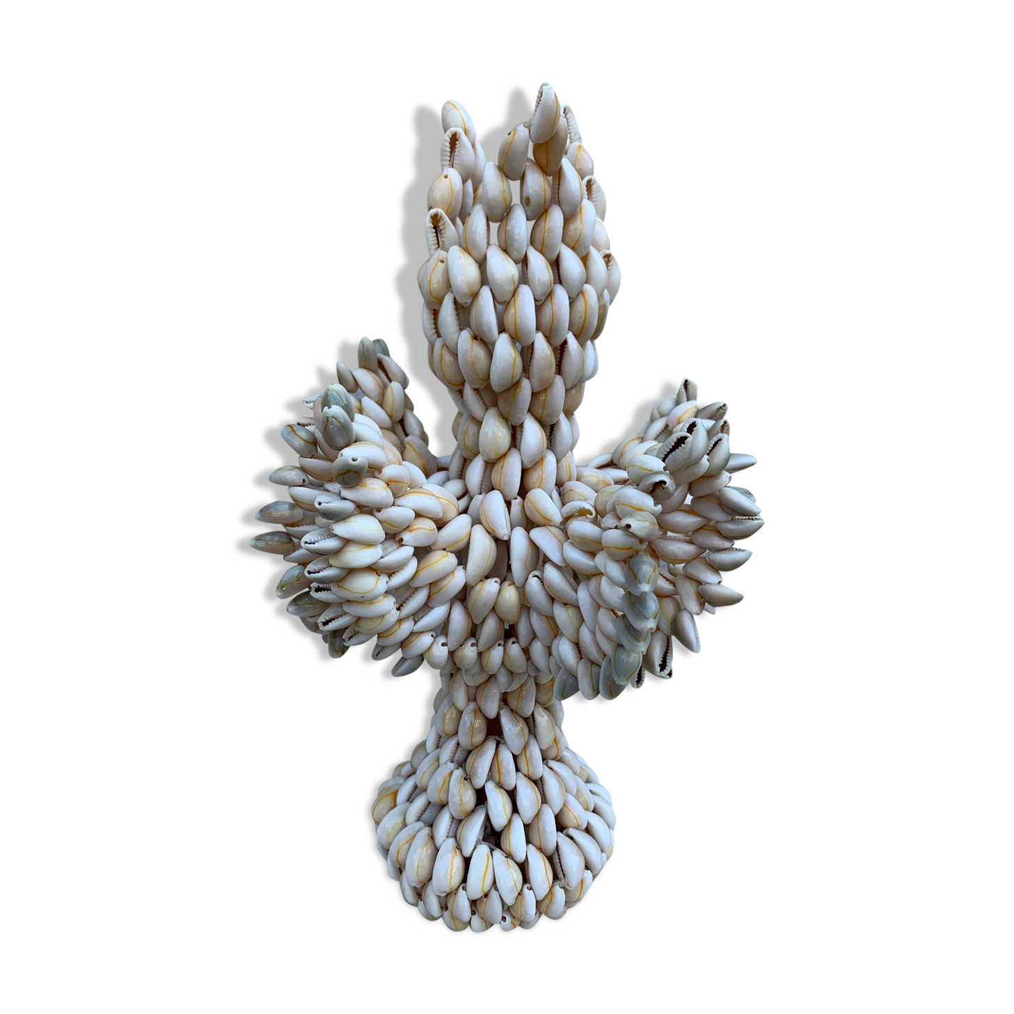 Vase in cursing shells
