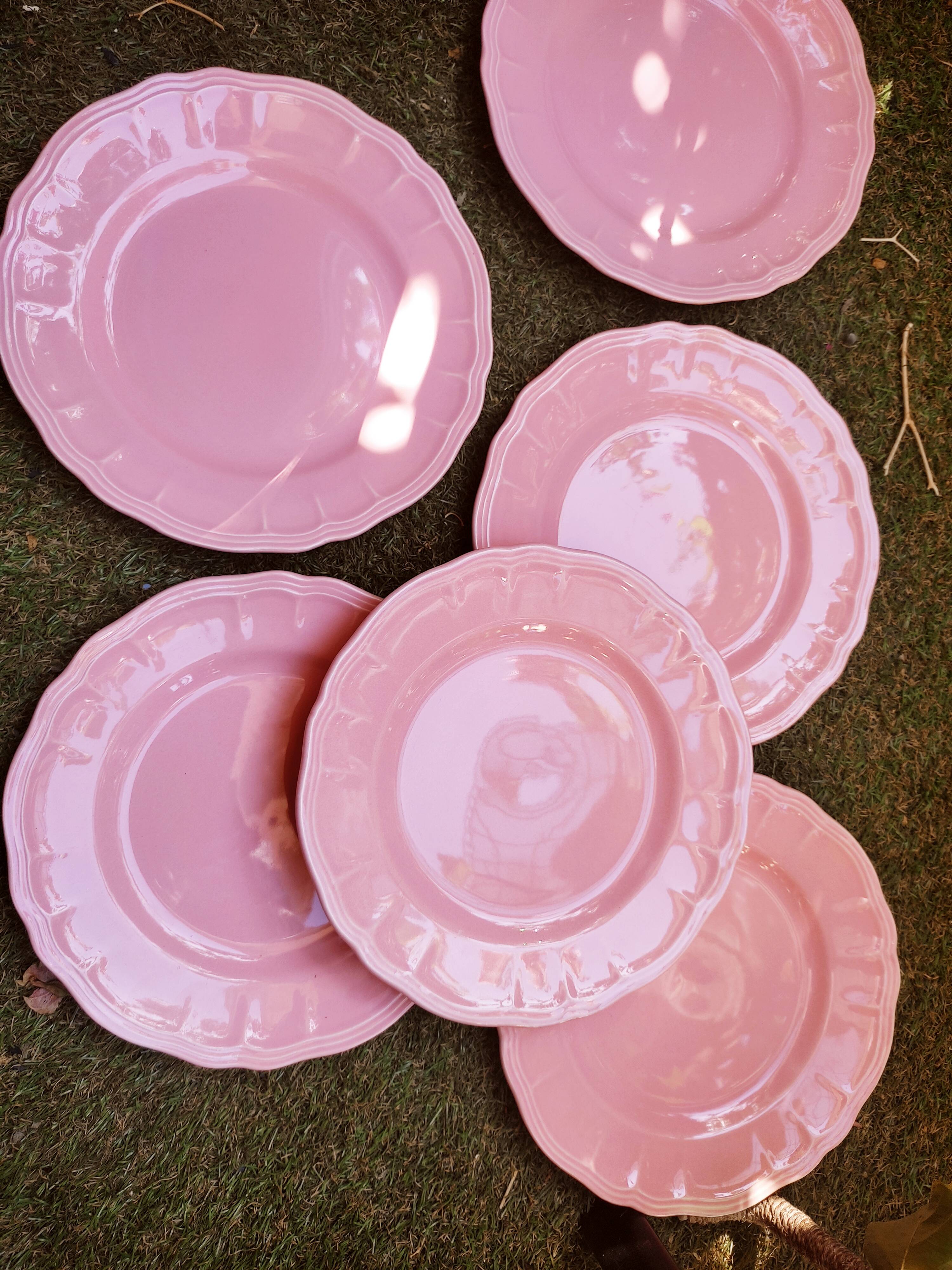 6 Salins plates in Provençal style earthenware