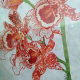 Orchid watercolor