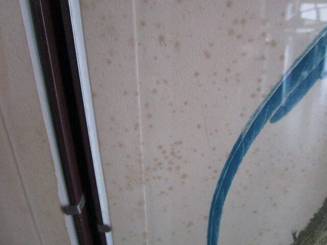 Pair of framed antique bird prints