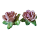 Old Dresden porcelain roses