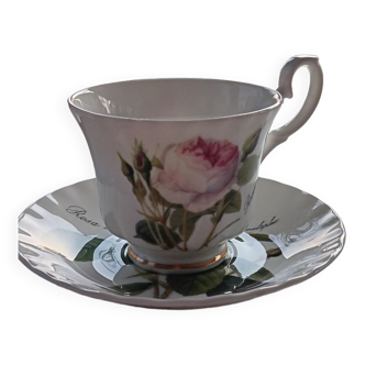 Tea cup Roses Roy Kirkham Made in England