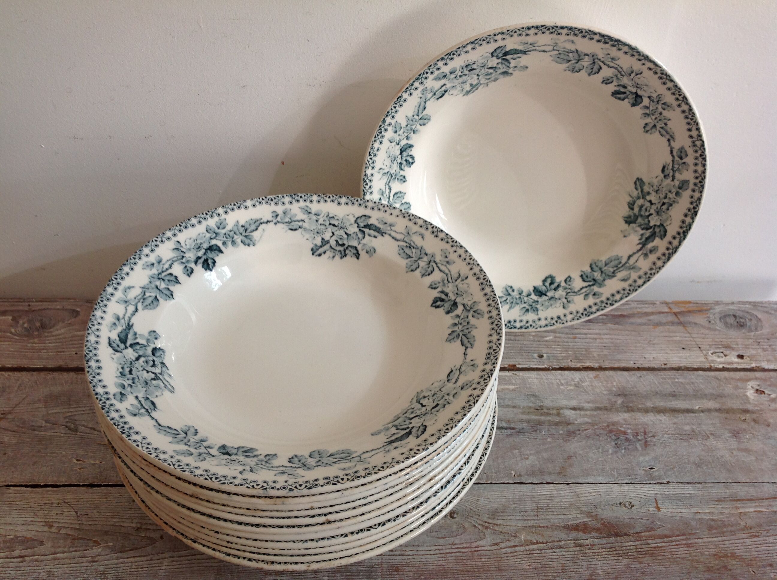 Set of 12 deep terre de fer plates