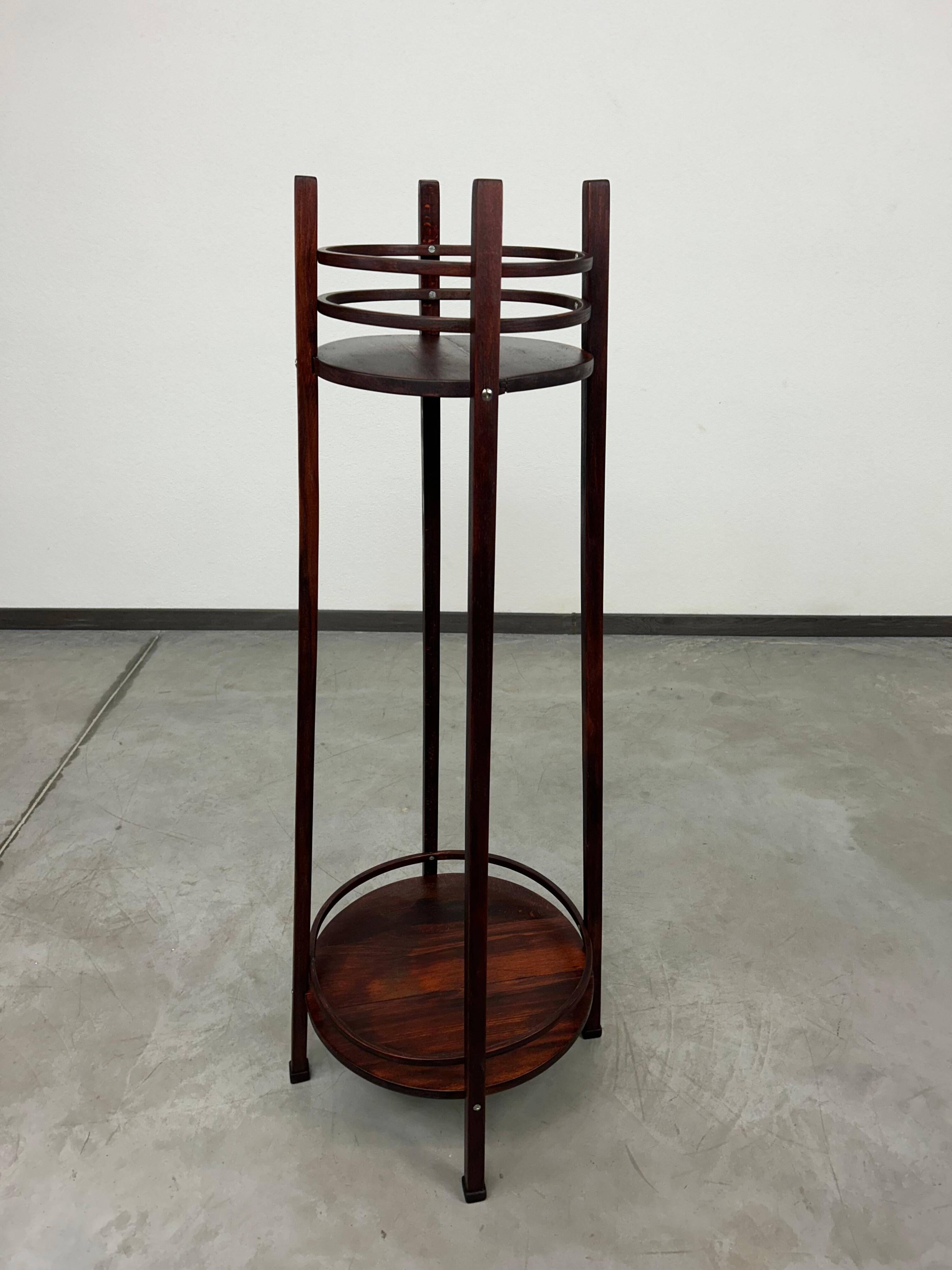 Plant plateau Secession no.31 by Otto Wagner