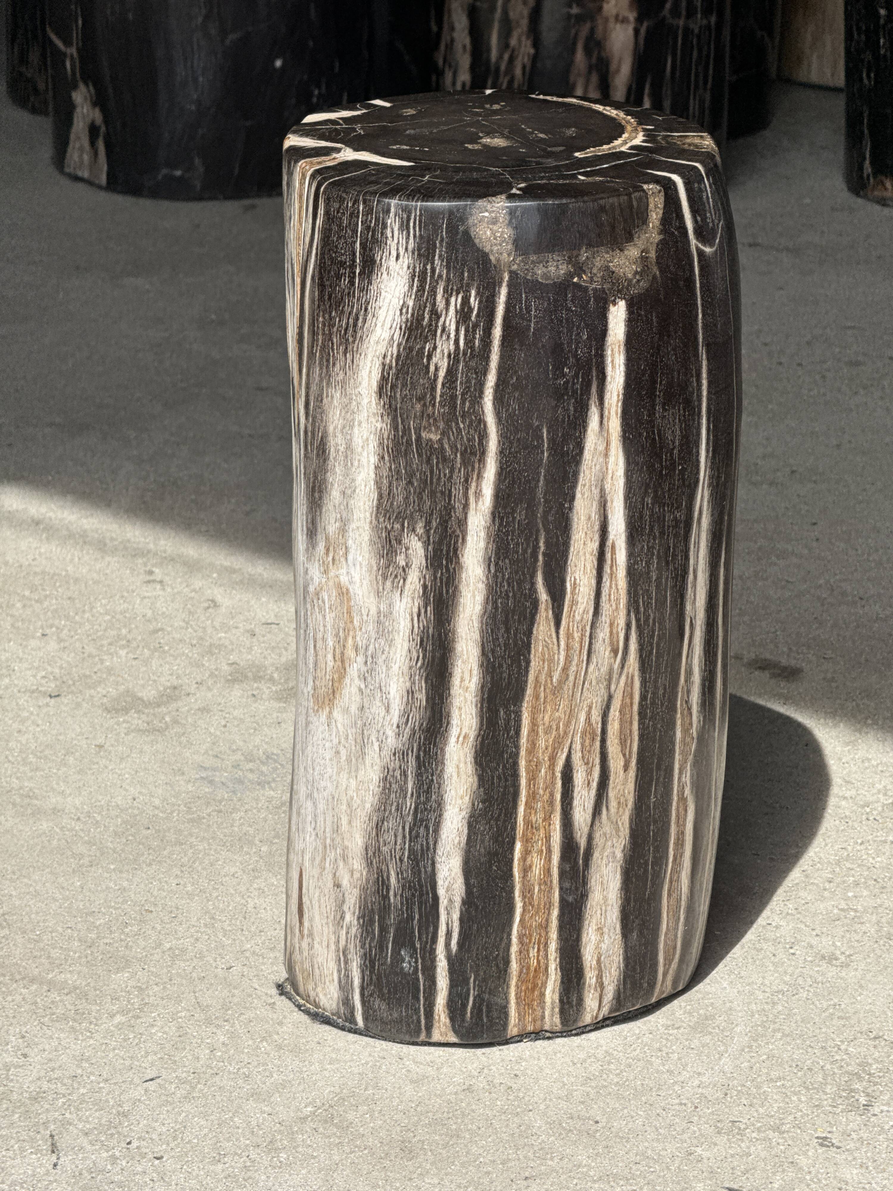 Table d'appoint en bois pétrifié noir