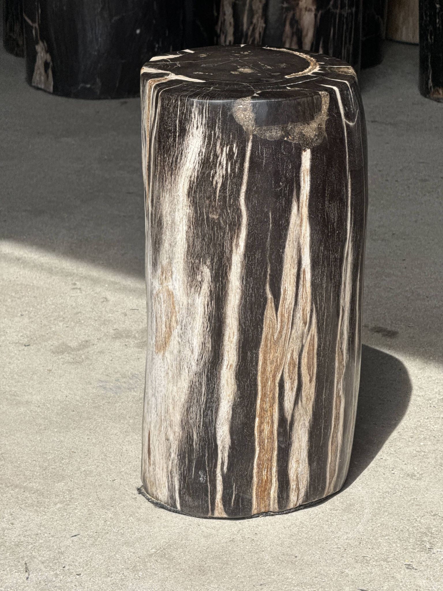 Black petrified wood side table with white and beige stripes H40 D23 - 3