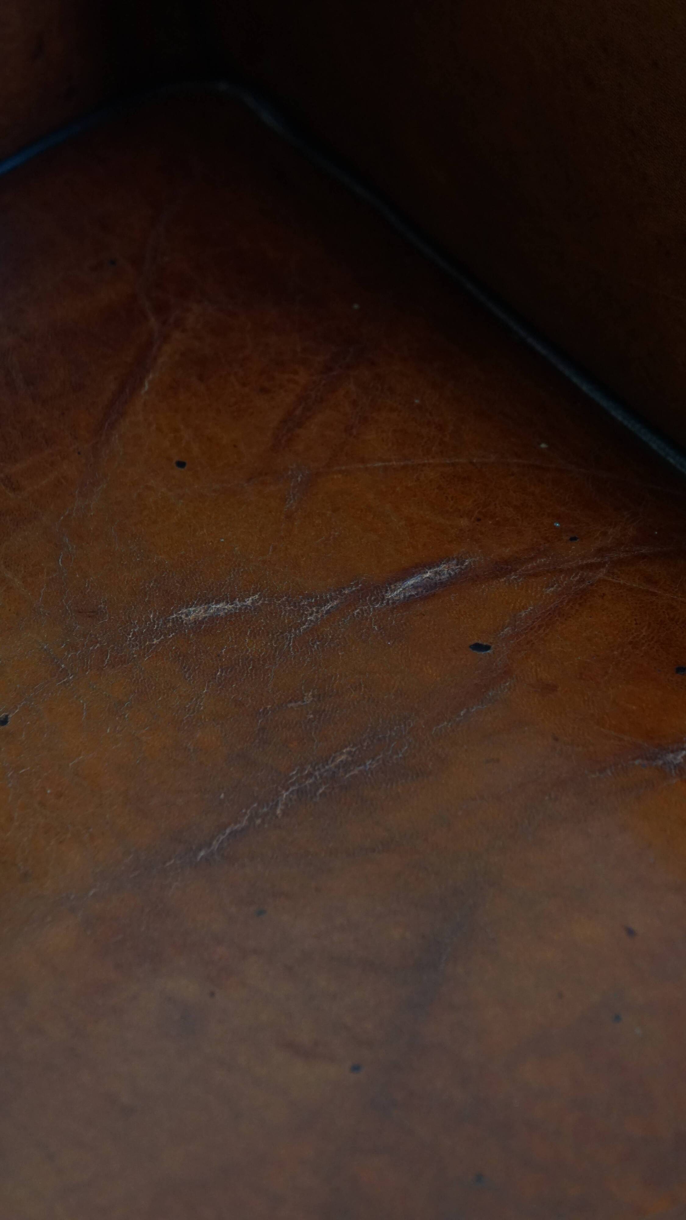 Sheepskin Wingback Chair with Warm Tones and Black Piping