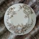 10 antique flat plates in ironstone