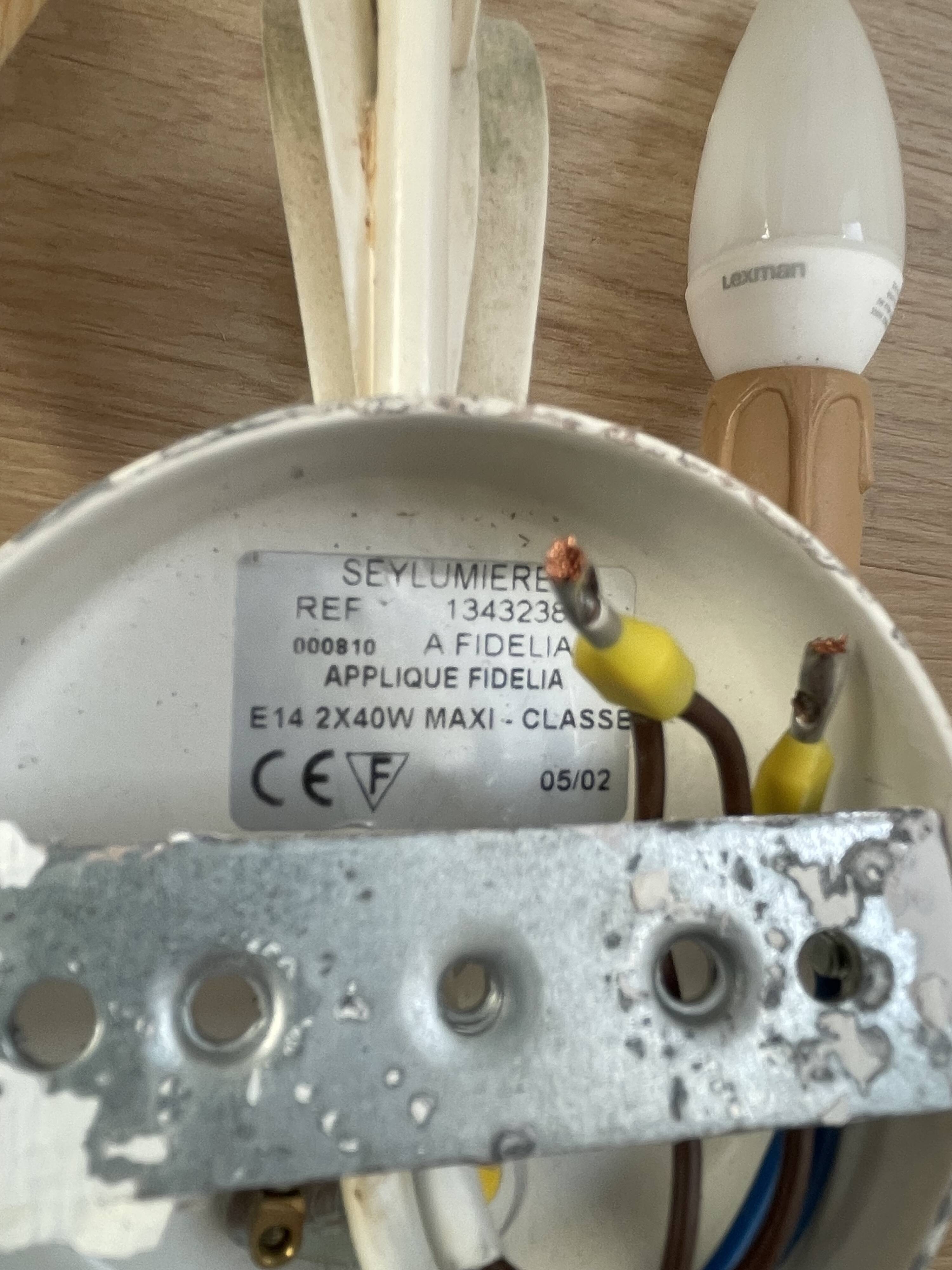 Vintage wrought iron wall sconce in the shape of a flower/leaf