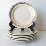 Set of 5 dessert plates