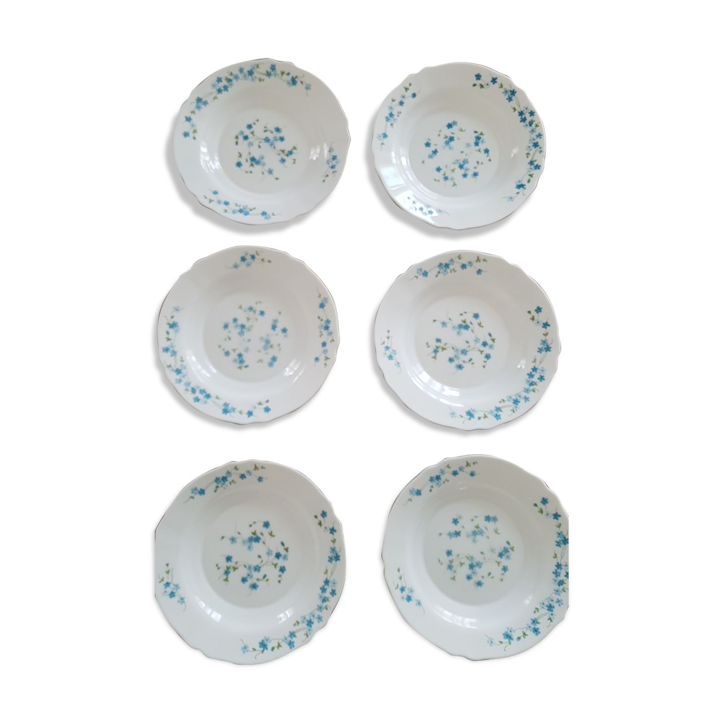 6 hollow plates arcopal myosotis veronica