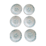 6 hollow plates arcopal myosotis veronica