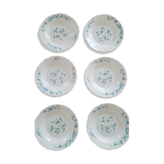 6 hollow plates arcopal myosotis veronica