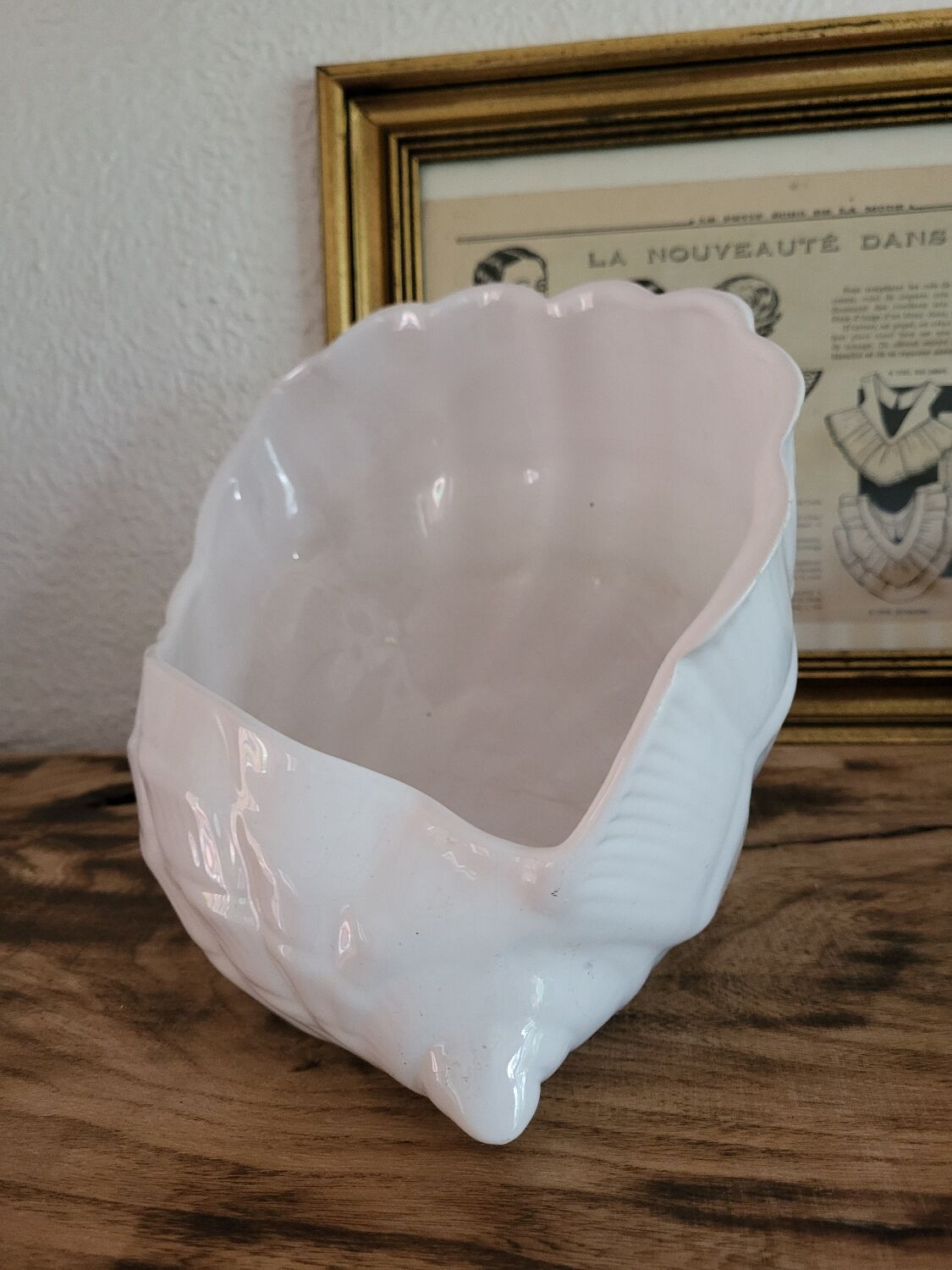Shell pot holder
