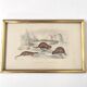 Zoological board engraving Buffon otter and beaver from Canada gilded wood frame