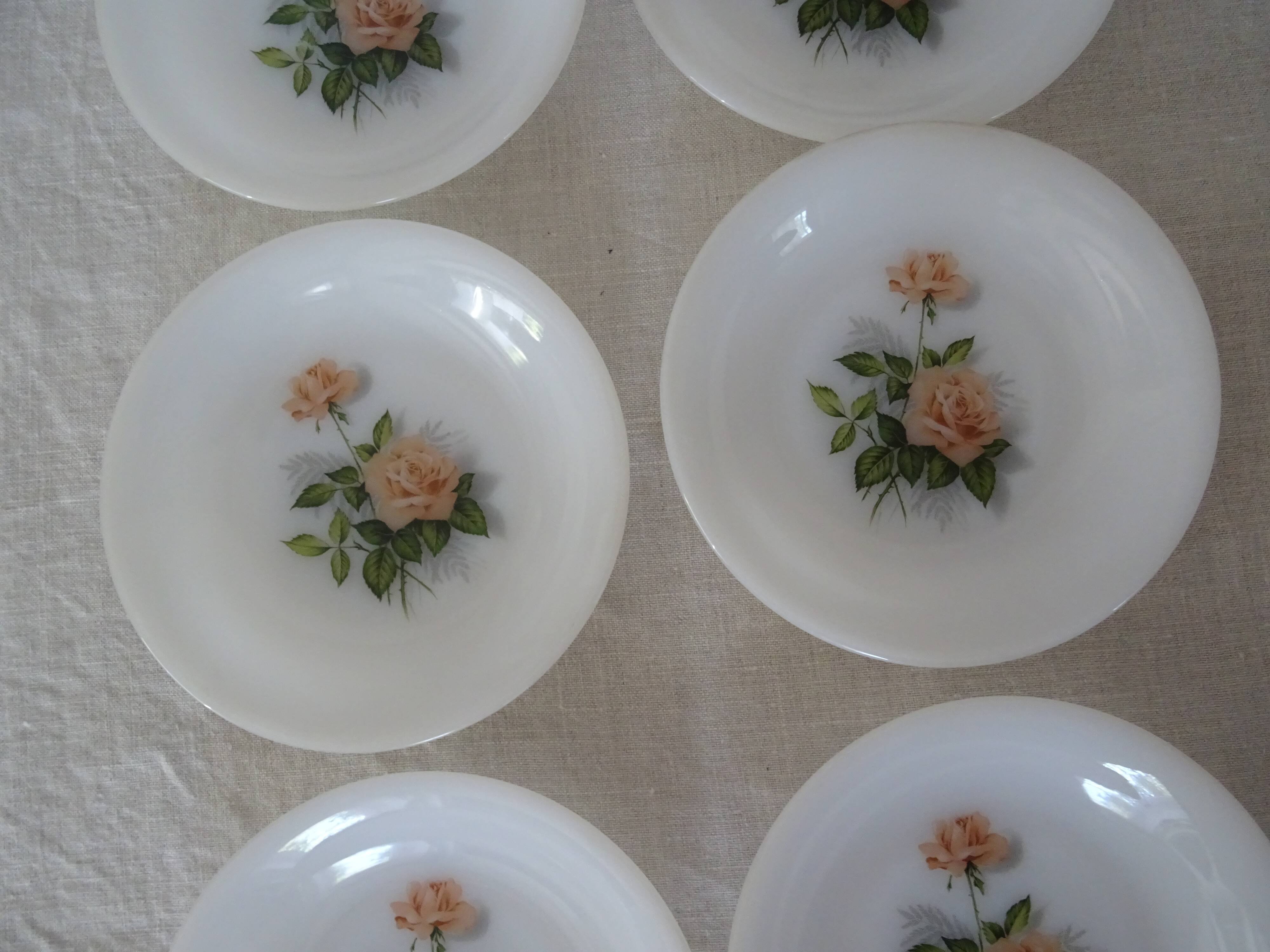 6 plates roses from France flowers hollow Arcopal