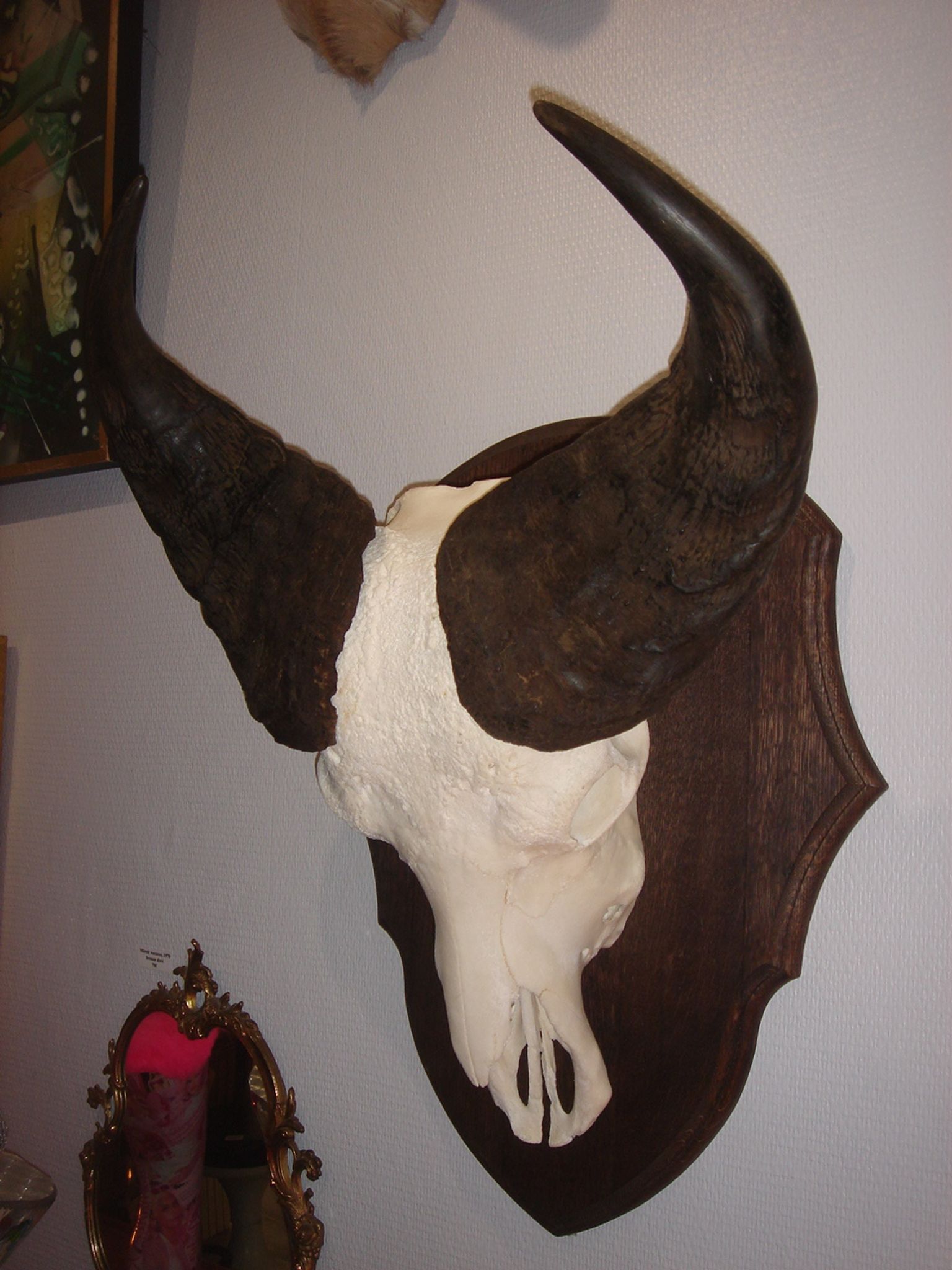 Namibia's Kettner massacre buffalo