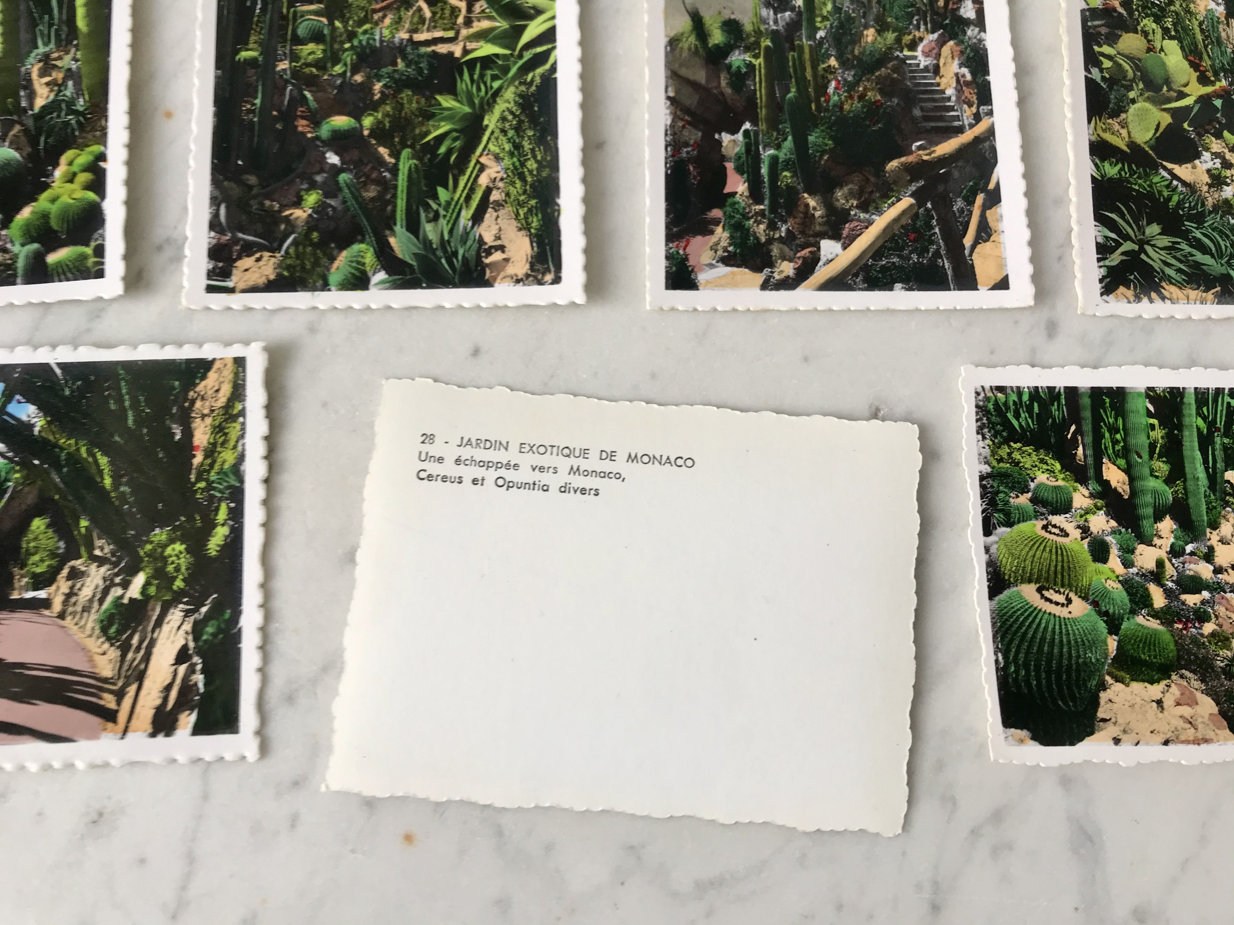 Set of 10 vintage photographs "Exotic Garden" Monaco 70s