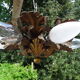 Gold metal leaf ceiling 6 bulbs