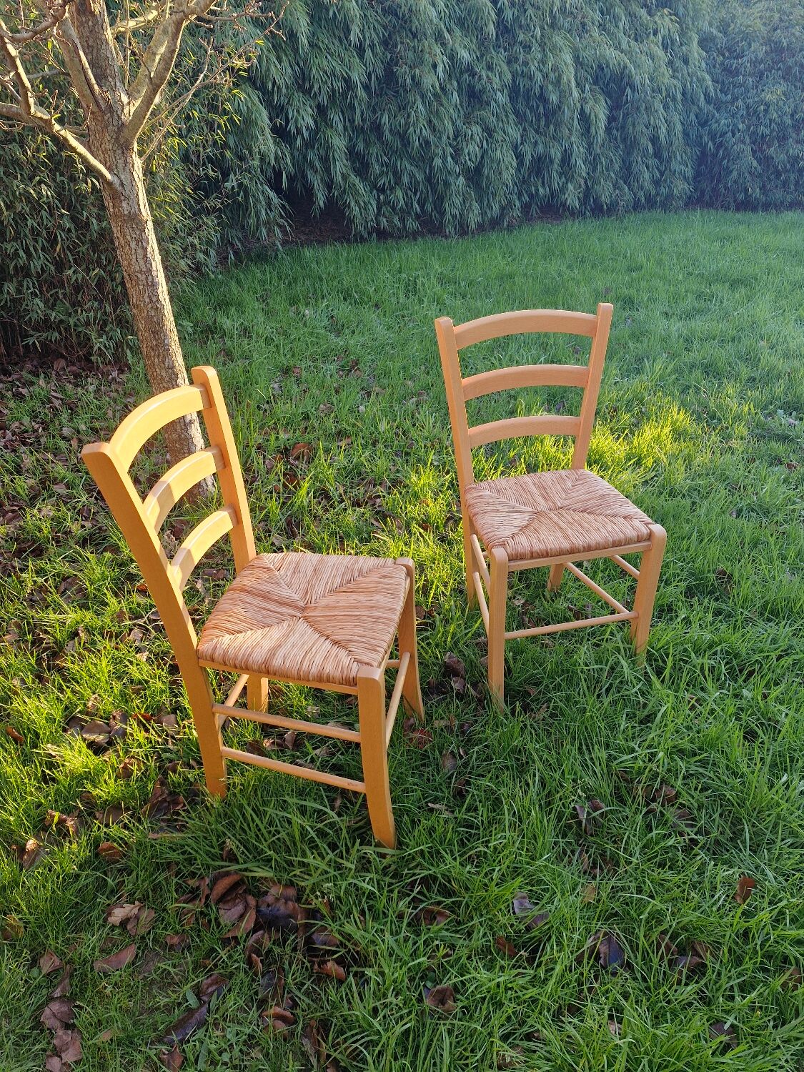 Pair of wooden and straw chairs