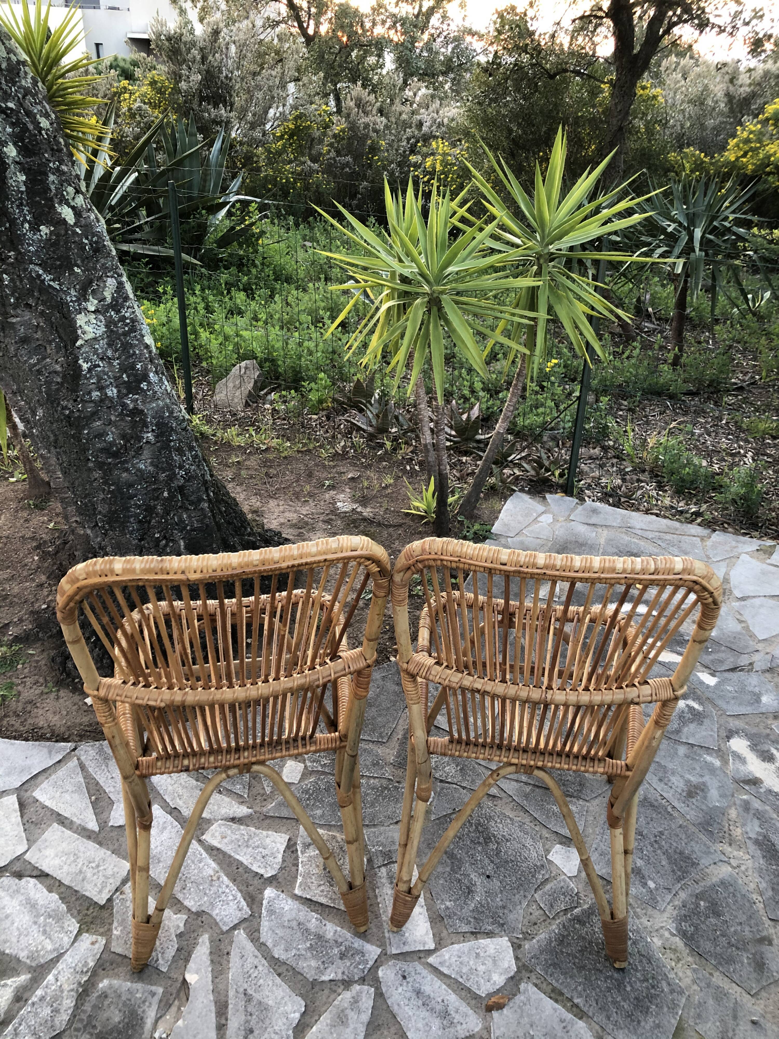 Pair of rattan chairs 60s