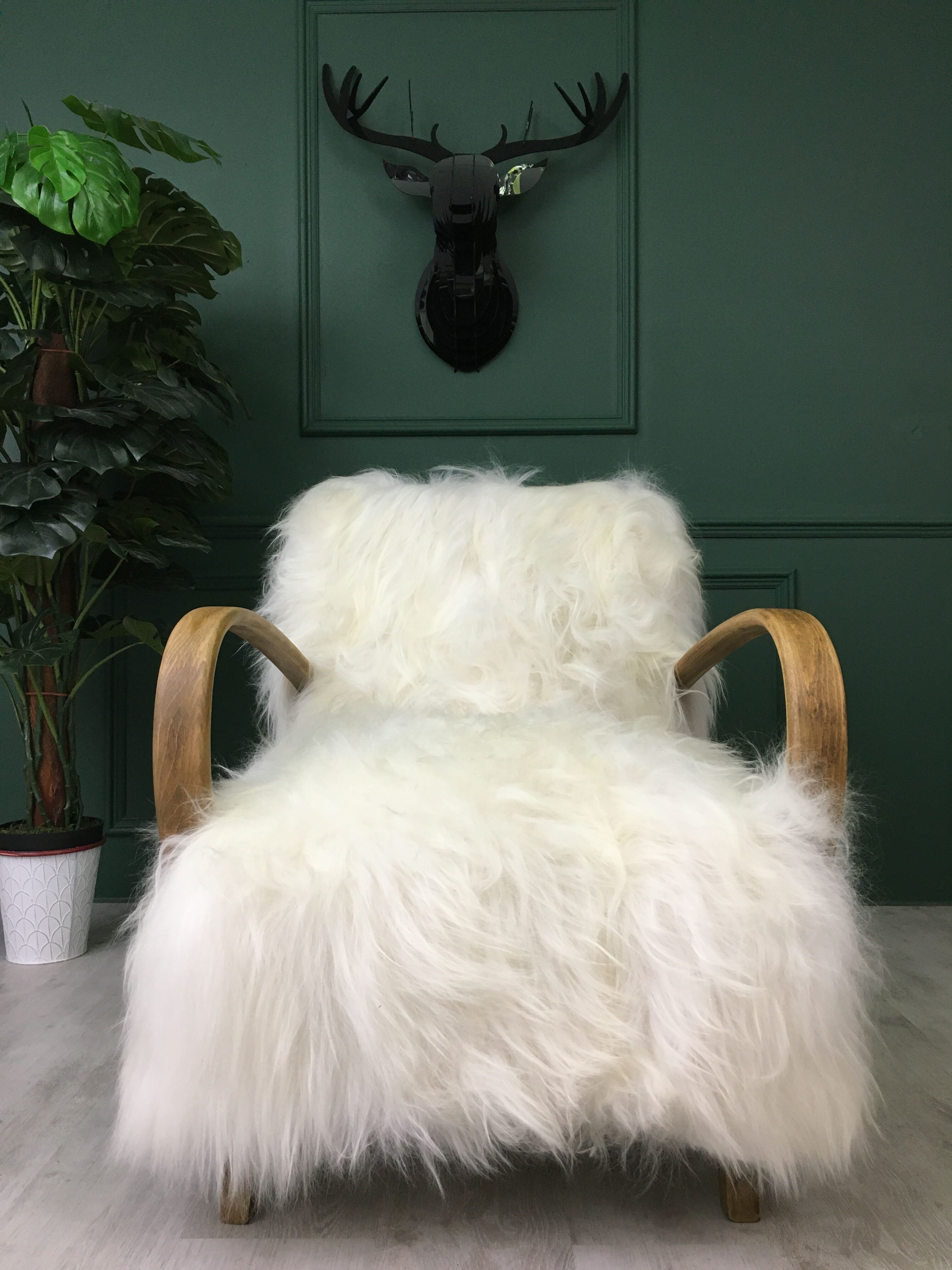 White fluffy sheepskin bentwood armchair halabala