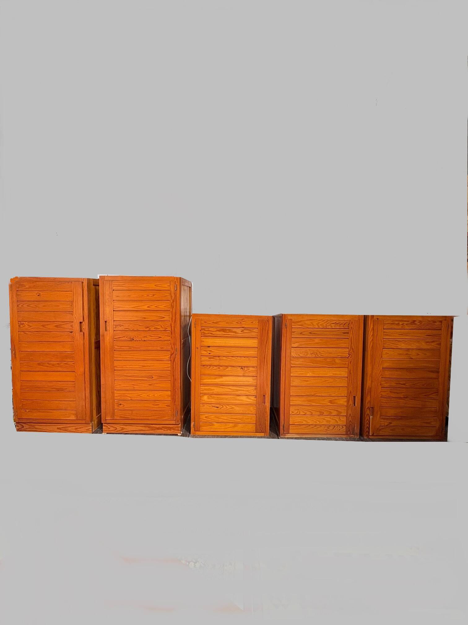 Ensemble de meubles de rangement vintage par Pierre Gautier Delaye