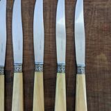 Set of 7 Apollonox knives