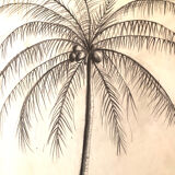 Drawing "Coconut tree"