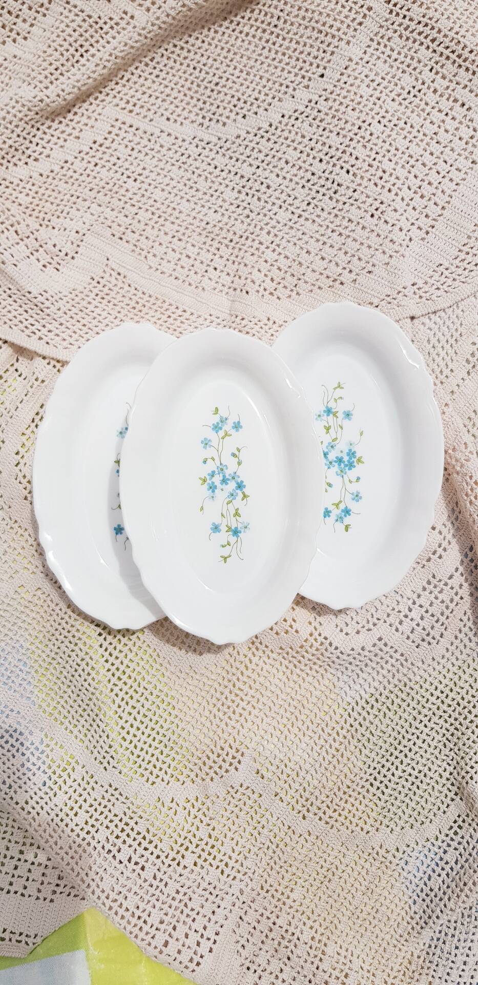 Ravier Myosotis Arcopal