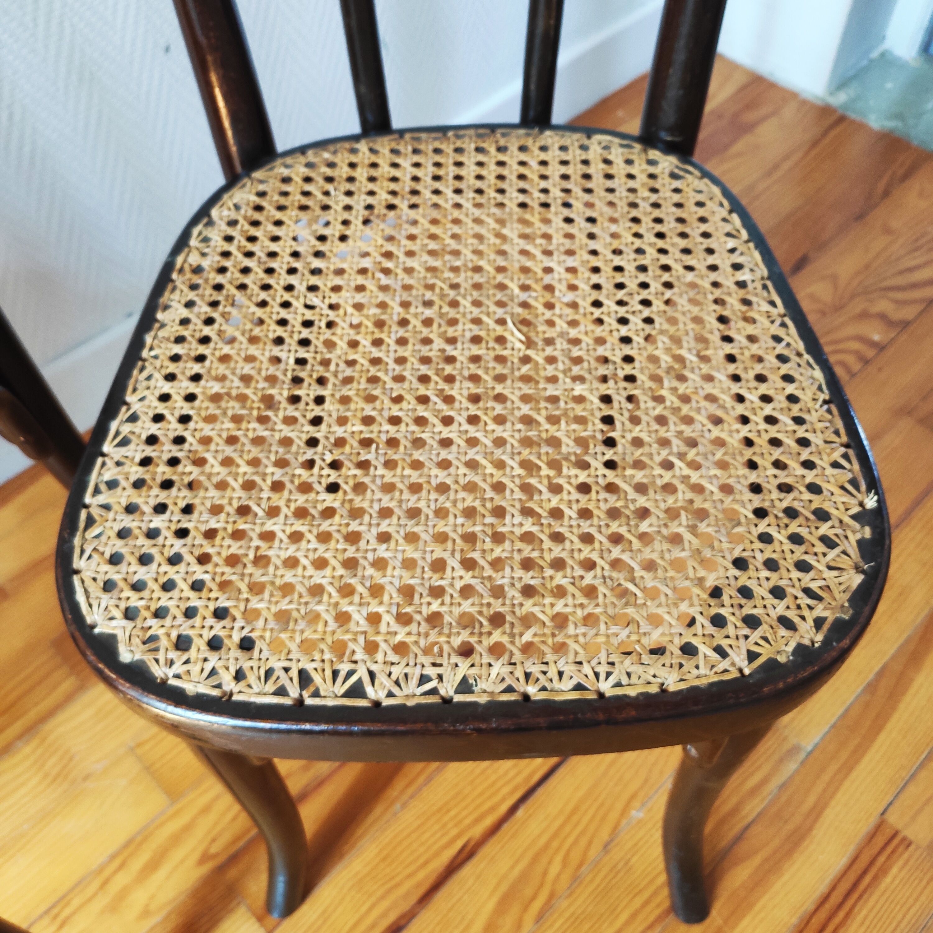 Pair of chairs bistrot Thonet N°56